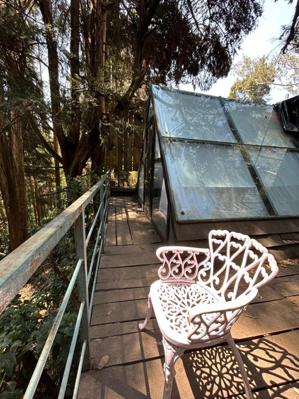 Woodhouse Hotel Ooty Bagian luar foto