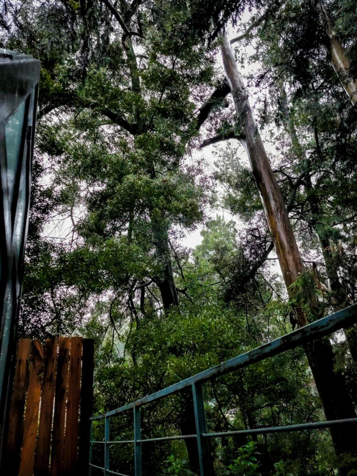 Woodhouse Hotel Ooty Bagian luar foto